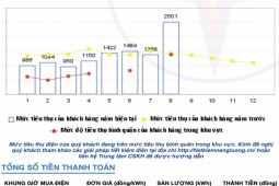 TP HCM: Vì sao tiền điện tháng 8 của một số khách hàng tăng cao?