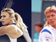 Thể thao - Sóng gió tennis nữ: Sharapova bị chê không xứng đáng, Swiatek mất số 1 càng tốt