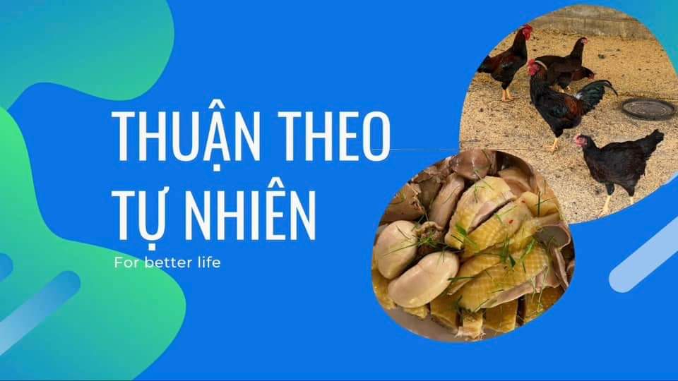 Farm Việt - giấc mơ hiện thực hóa thực phẩm thảo dược sạch và an toàn vì sức khỏe người tiêu dùng - 1