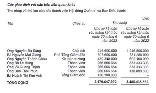 Bất ngờ về thu nhập của chủ tịch, giám đốc công ty bất động sản - 1