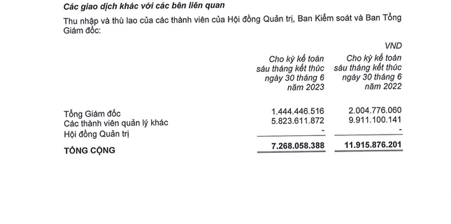 Bất ngờ về thu nhập của chủ tịch, giám đốc công ty bất động sản - 4