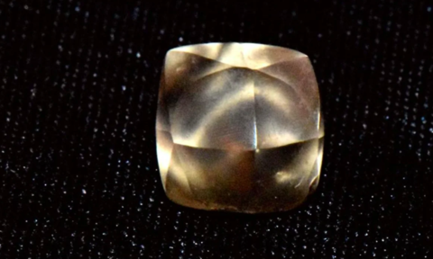 Bé gái 7 tuổi phát hiện viên kim cương 2,95 carat khi đi thăm công viên - 1
