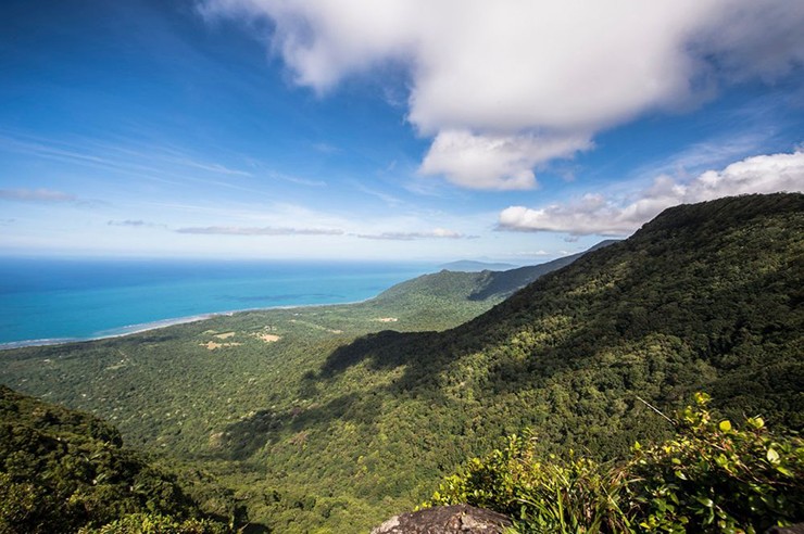 Cape Tribulation, Australia: Cape Tribulation ở Queensland đem tới một cuộc phiêu lưu thú vị dành cho trẻ em và cả người lớn. Với những khu rừng tươi tốt và bãi biển rợp bóng cọ, nơi đây có rất nhiều hoạt động thú vị. Bạn cũng có thể đi thuyền từ mũi đất đến rạn san hô Great Barrier, hoặc đi bộ qua rừng nhiệt đới Daintree để tìm kiếm những con đà điểu thời tiền sử.
