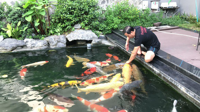 Hôn nhân rình rang kết thúc chỉ sau hơn 1 năm chung sống, Hà Thanh Xuân và &#39;Vua cá Koi&#39; hiện sở hữu những cơ ngơi thế nào? - 8