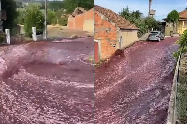 2,2 triệu lít rượu vang tạo thành dòng lũ nhuộm đỏ ngôi làng Bồ Đào Nha - 1