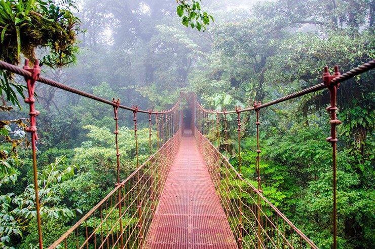 Khu bảo tồn Monteverde, Costa Rica: Costa Rica là quốc gia dẫn đầu thế giới về du lịch sinh thái và mạo hiểm, nổi tiếng nhất là Monteverde. Khoảng một nửa diện tích được bảo tồn với tên gọi "Khu rừng vĩnh cửu của trẻ em". Đây là một dải rừng mây tươi tốt trải dài với những con đường mòn và nhiều cơ hội khám phá động vật hoang dã.


