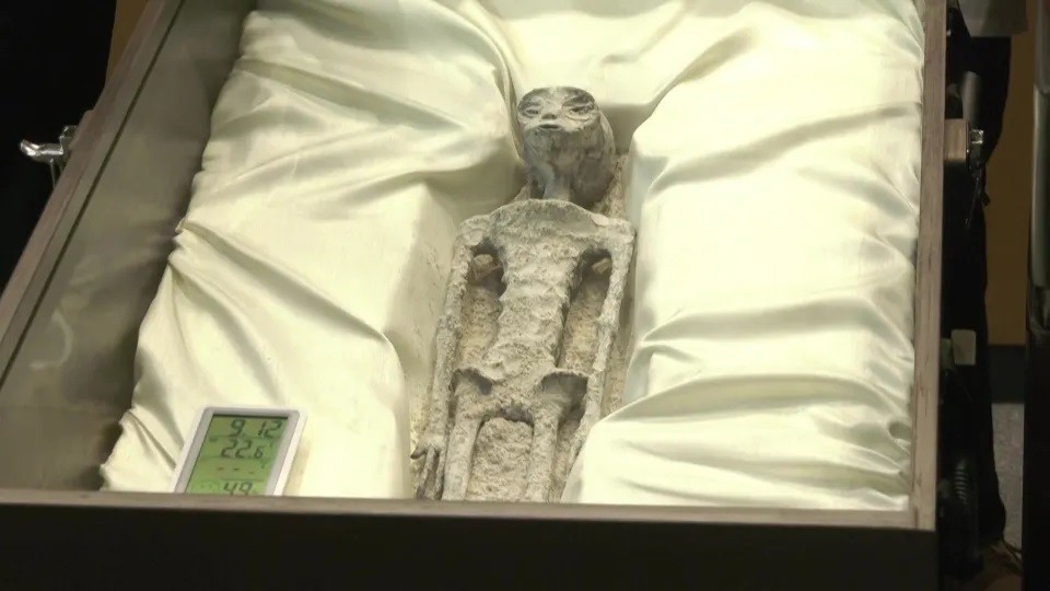 Một thi thể hóa thạch nghi của “người ngoài hành tinh” được trưng bày ở Quốc hội Mexico (ảnh: The Sun)