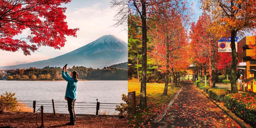 3 lý do khách Việt chọn du lịch Hokkaido Nhật Bản mùa thu  - 2