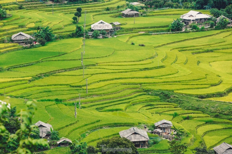 Ngất ngây cảnh sắc 'thiên đường' ruộng bậc thang ở Hoàng Su Phì - 4