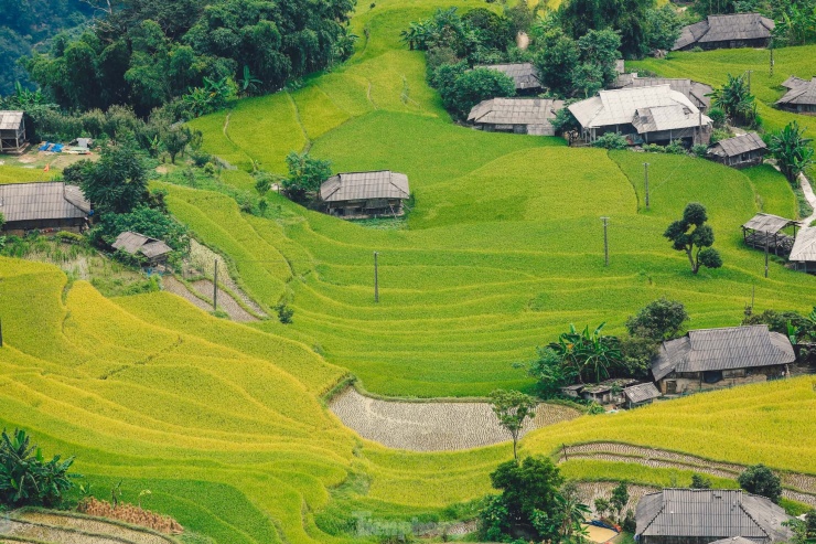 Ngất ngây cảnh sắc 'thiên đường' ruộng bậc thang ở Hoàng Su Phì - 5