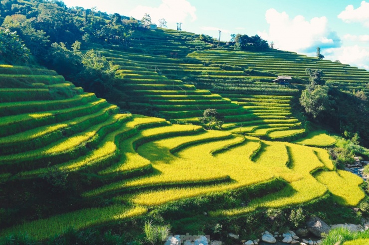 Ngất ngây cảnh sắc 'thiên đường' ruộng bậc thang ở Hoàng Su Phì - 13