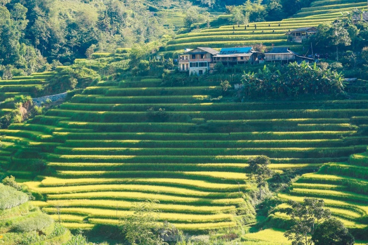 Mình di chuyển 9 tiếng đồng hồ để đến Hoàng Su Phì ngắm lúa vàng. Thật sự không lãng phí khi cảnh sắc mùa vàng nơi đây giống như thiên đường vậy, chị Hằng (Đống Đa, Hà Nội) chia sẻ.