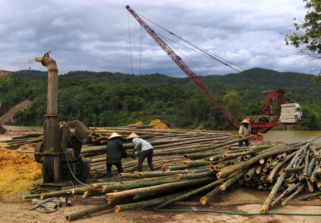 Tre, mét được sử dụng làm nhiều sản phẩm, đồ thủ công mỹ nghệ hay trong ngành xây dựng.