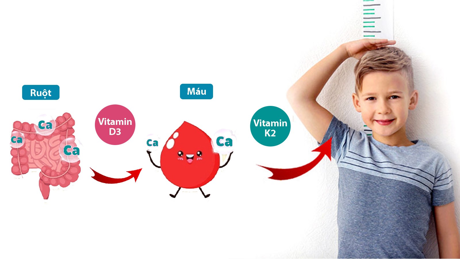 Sự thật về loại vitamin D3K2 dạng xịt thế hệ mới giúp trẻ “bứt phá” chiều cao - 1