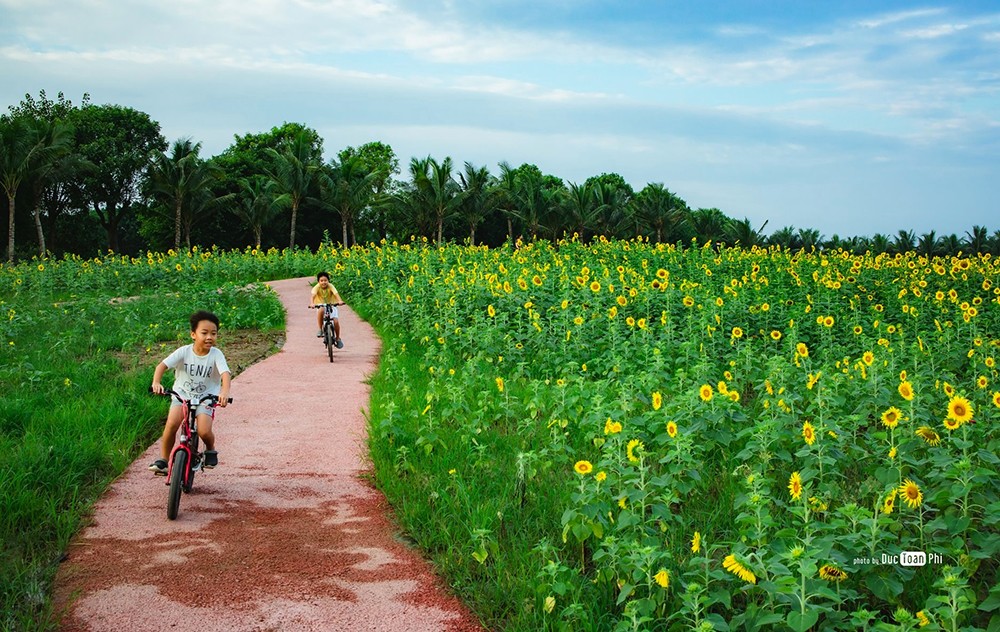 Bác sĩ “kê" thiên nhiên vào đơn thuốc trị bệnh - 4