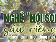 Thị trường - Tiêu dùng - &quot;Nội soi&quot; sầu riêng kiếm trăm triệu đồng mỗi tháng