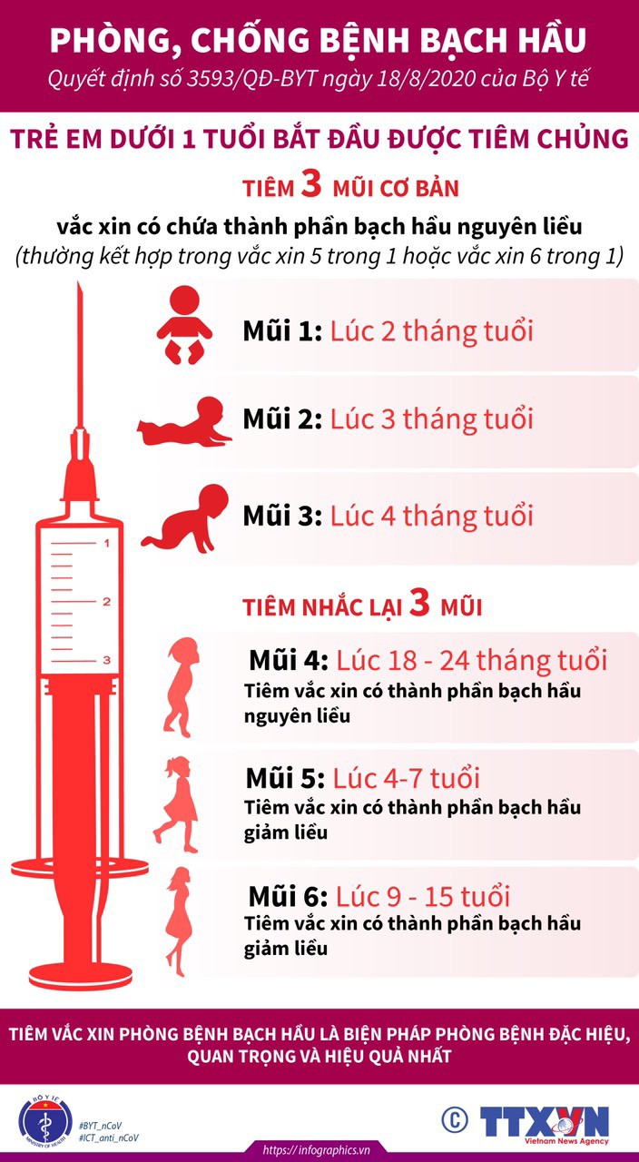 Bộ Y tế hướng dẫn phòng chống bệnh bạch hầu - 4