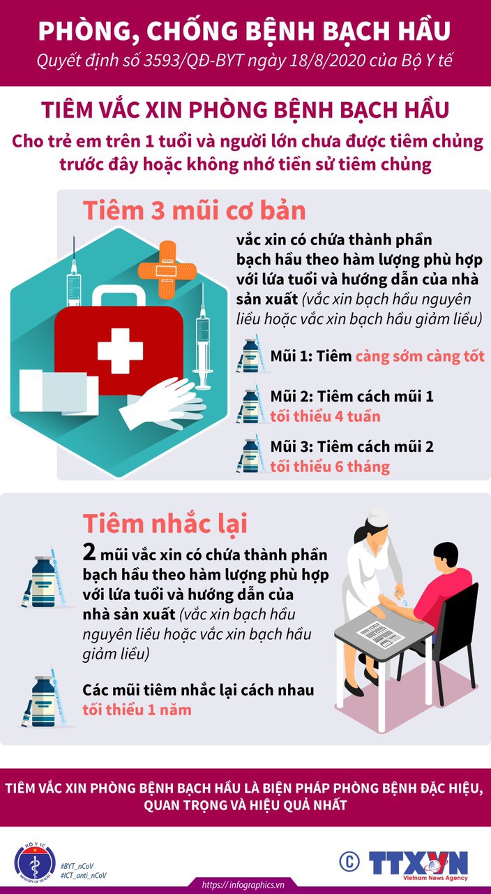 Bộ Y tế hướng dẫn phòng chống bệnh bạch hầu - 5