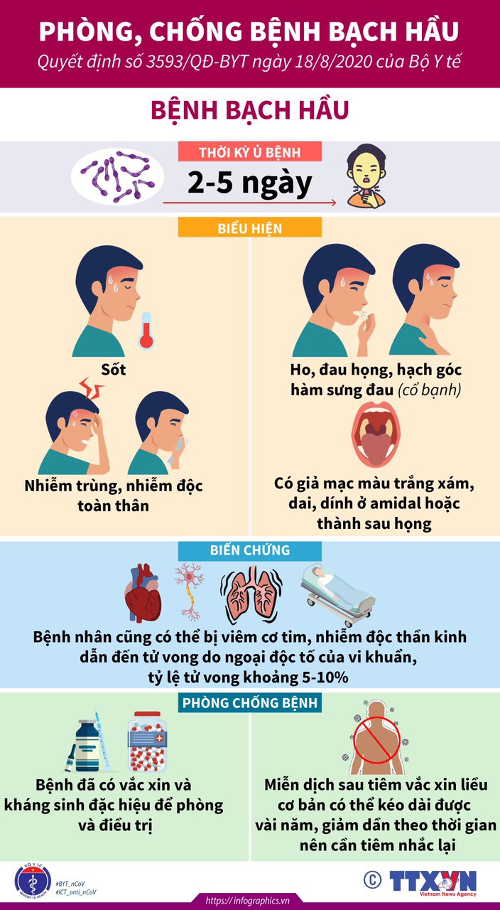 Bộ Y tế hướng dẫn phòng chống bệnh bạch hầu - 2