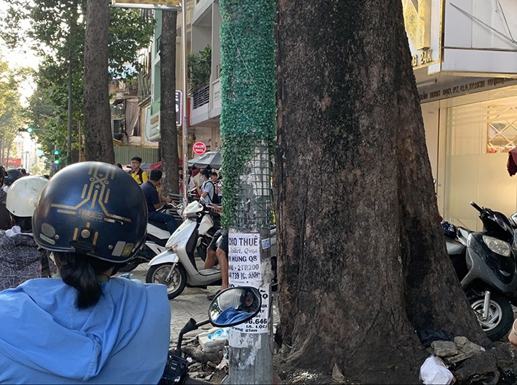 Hàng trăm trụ điện được “cởi áo giáp” sau nhiều năm quấn “cỏ” để chống rao vặt - 17