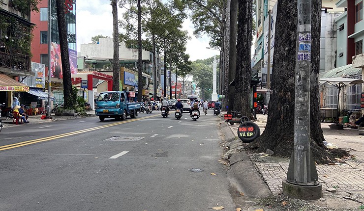 Hàng trăm trụ điện được “cởi áo giáp” sau nhiều năm quấn “cỏ” để chống rao vặt - 32