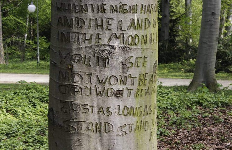 Nằm ở trung tâm Công viên Tiergarten của Berlin, cây sồi này đã trở thành một điểm thu hút đông đảo du khách nhờ ai đó đã khắc lời bài hát nổi tiếng&nbsp;Stand By Me&nbsp;vào thân cây.
