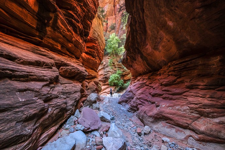 Red Hollow Slot Canyon là một chuyến đi bộ ngắn và dễ dàng ở Orderville, Utah, không quá xa các công viên quốc gia Zion và Bryce. Đây là một chuyến đi bộ rất ăn ảnh với màu đá đỏ đẹp mắt và những bức tường hẻm núi dốc. Red Hollow Canyon rất dễ tiếp cận và tuyệt vời cho trẻ em.
