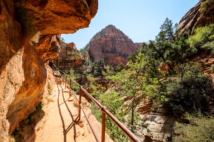 Đường mòn Canyon Overlook: Đây&nbsp;là một trong những con đường đi bộ ngắn nhất ở Công viên Quốc gia Zion, nhưng quang cảnh ở cuối đường rất tuyệt vời. Có một số đoạn có độ dốc lớn nhưng những đoạn nguy hiểm nhất đều được bảo vệ bằng lan can kim loại chắc chắn nên không đến nỗi quá đáng sợ.
