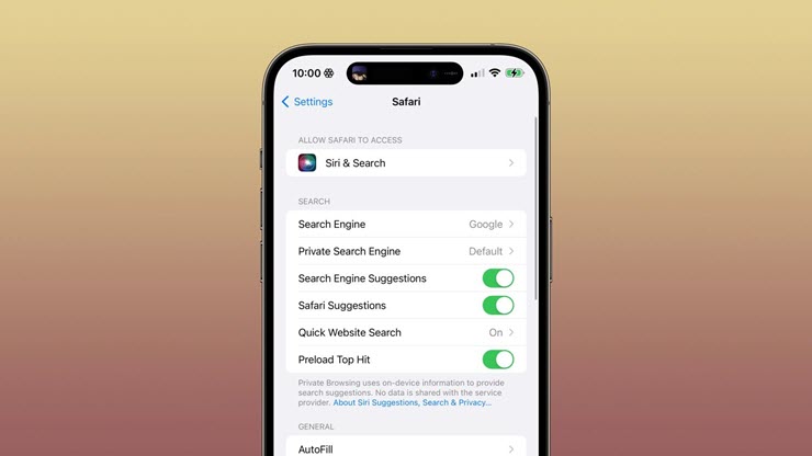 Tùy chọn “Private Search Engine” mới trên iOS 17.