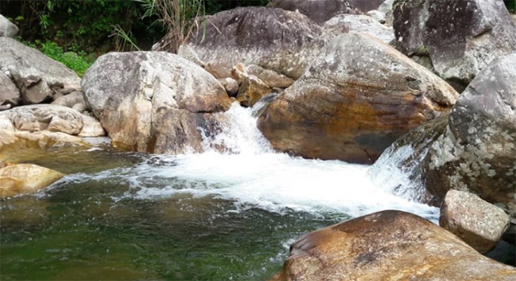 Một người dân ở bản Sin Súi Hồ kể ngày xưa có những khe núi chảy qua những trảng bạt ngàn cây hoàng liên (một loại cây thuốc quý) nên nước khe, rêu đá cũng có vị đắng
