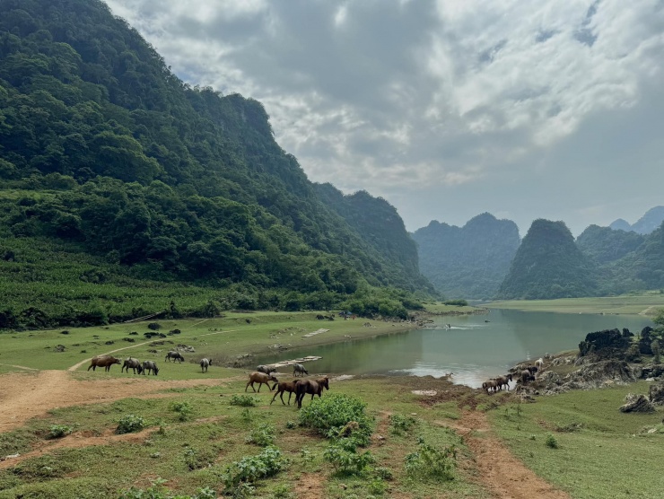 Khung cảnh hùng vĩ, trong lành.