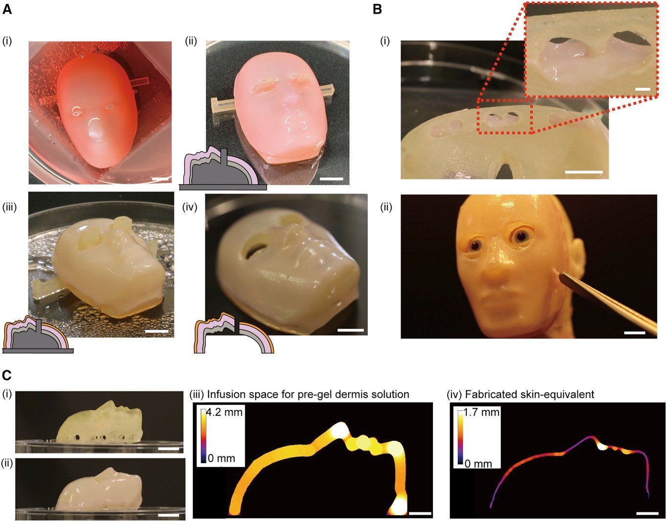 Artificial skin can help robots express emotions like real people - 2