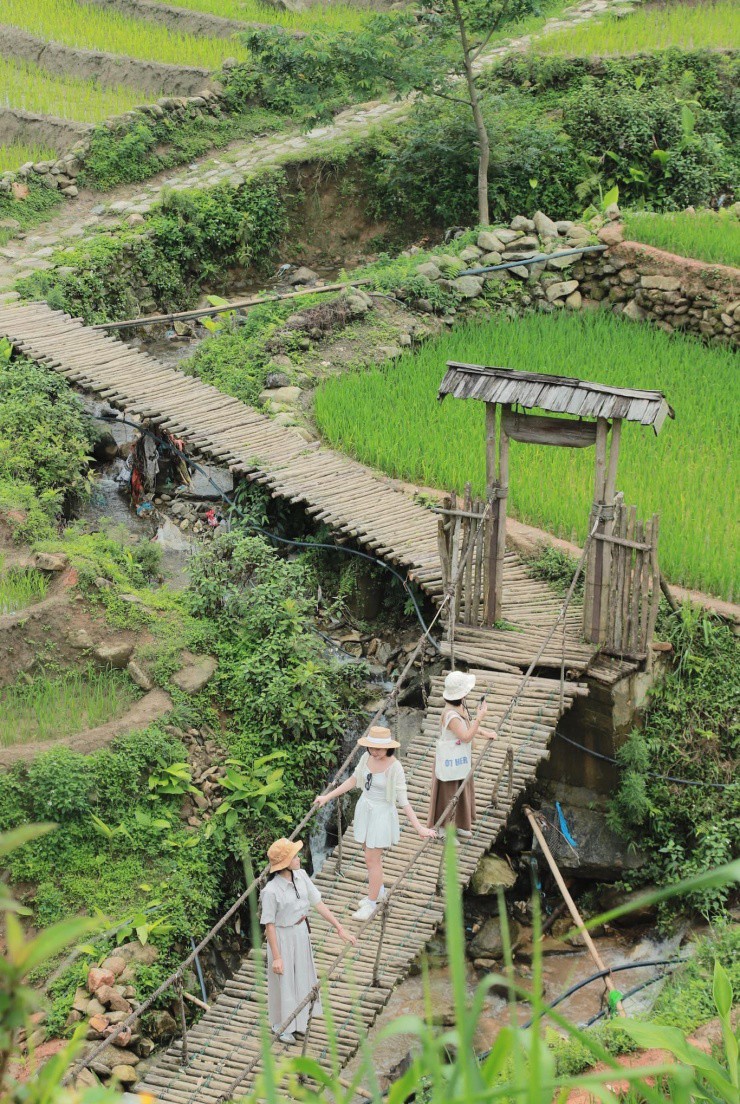Thiên nhiên trong lành.