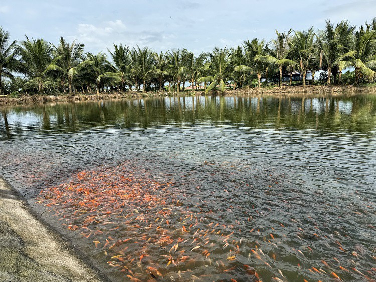 Từng gặp không ít khó khăn trong quá trình khởi nghiệp nhưng bằng ý chí của mình, anh Quân đã vượt qua tất cả để đi đến thành công.