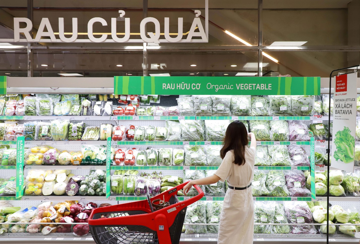 Mua sắm và tham gia các chương trình ưu đãi đặc biệt dành cho khách hàng thành viên từ LOTTE Mart