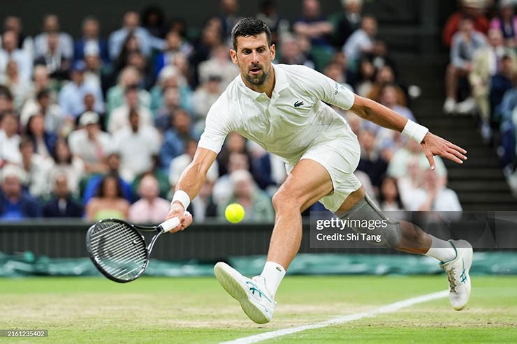 Djokovic đang có cơ hội chinh phục Wimbledon 2024