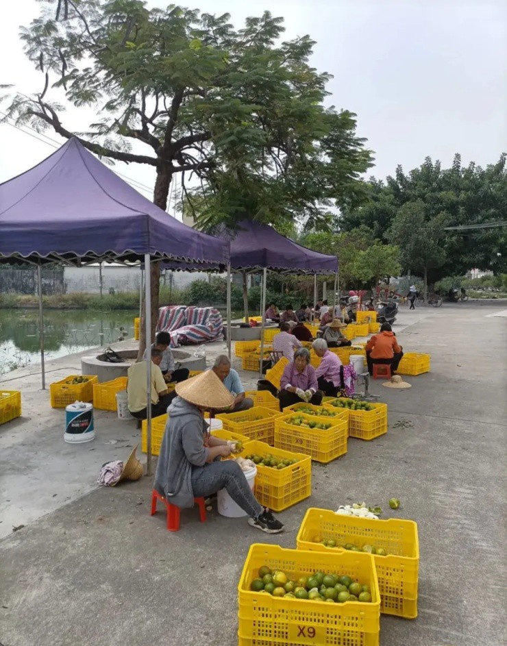 Nguồn ảnh: National Geographic