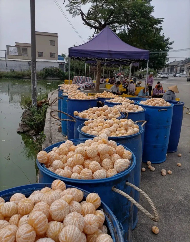 Nguồn ảnh: National Geographic