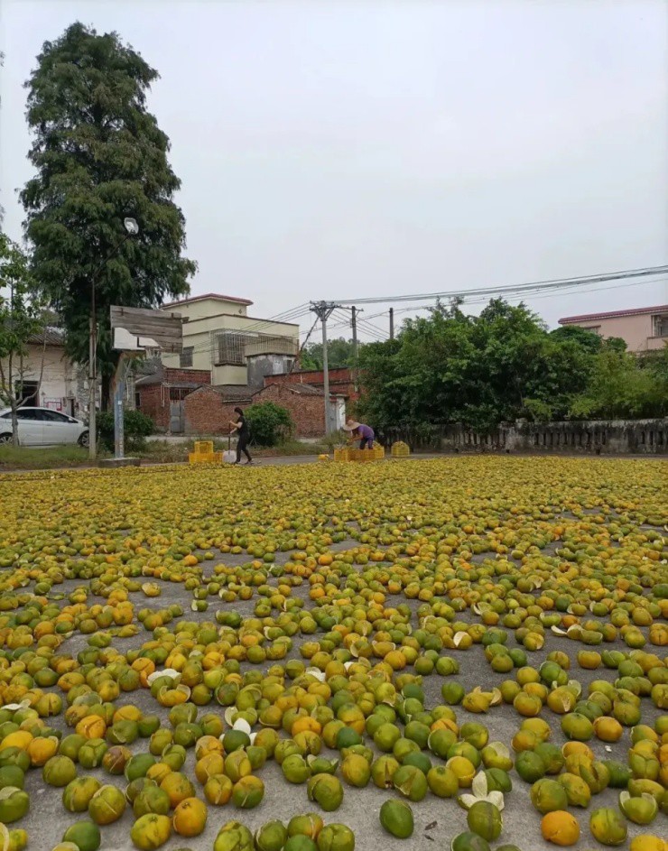 Nguồn ảnh: National Geographic