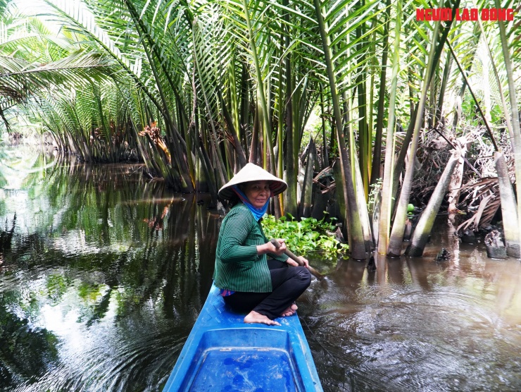 Loại trái từng bỏ đi, giờ đem về tiền triệu cho người miền Tây - 1