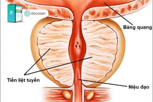 Nhiều người được hưởng lợi từ việc phát hiện sớm, điều trị sớm để có thể kéo dài sự sống.