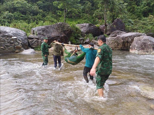 Lực lượng chức năng đưa nạn nhân ra khỏi rừng. Ảnh: TTXVN