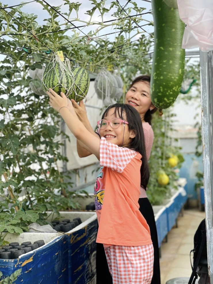 Khu vườn sân thượng của gia đình chị Liên tràn ngập các loại rau và trái cây