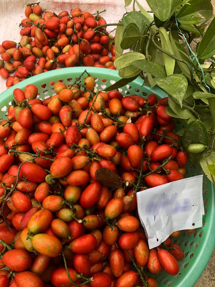 Trước khi ăn người ta phải dùng tay bóp nhẹ, nặn kỹ, chà xung quanh quả cho đến khi quả mềm, chuyển sang màu tím đen rồi bóc phần vỏ, ăn phần ruột bên trong.
