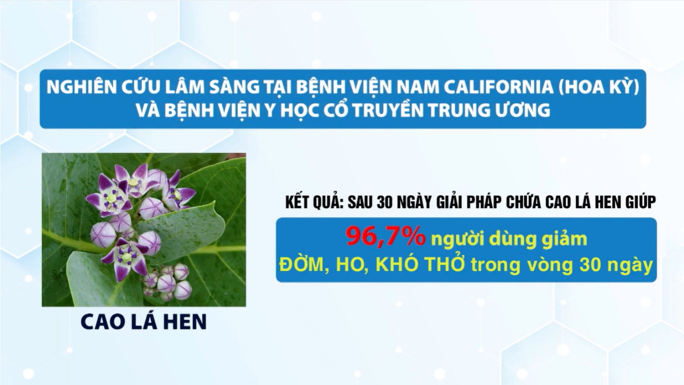 Loại lá được người Nhật ví như "lá hồi sinh phổi" cực đắt đỏ nhưng ở Việt Nam “rẻ như cho” - 5