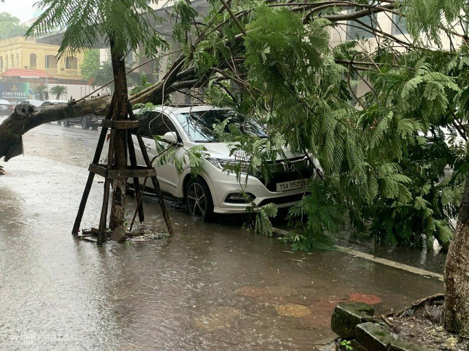 Bão đổ bộ Quảng Ninh, gây mưa diện rộng - 6