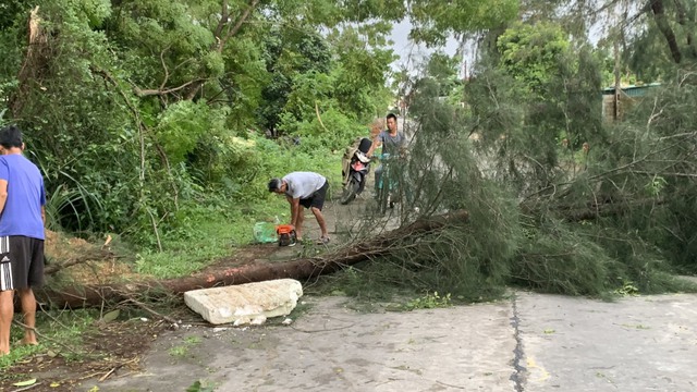 Những thiệt hại ban đầu khi bão số 2 đổ bộ Quảng Ninh - 4