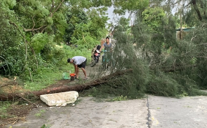 Bão đổ bộ Quảng Ninh, gây mưa diện rộng - 15