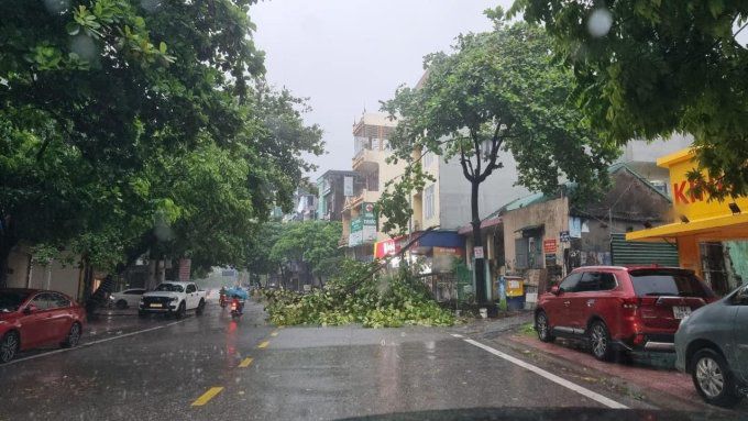 Bão vào Quảng Ninh, gây mưa diện rộng - 5