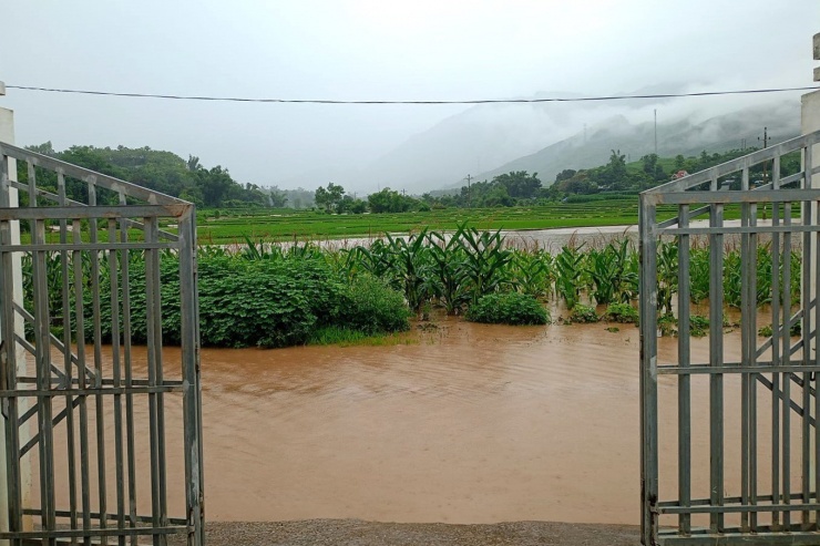 Tại các xã Chiềng Pha, Phổng Lăng, Thôm Mòn, Chiềng Pấc (huyện Thuận Châu)... mực nước suối dâng cao, nhiều diện tích lúa mới cấy bị xô đổ, ngập úng,...